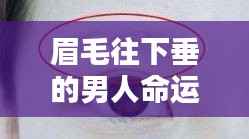 眉毛往下垂的男人的命运解析，面相揭示未来？