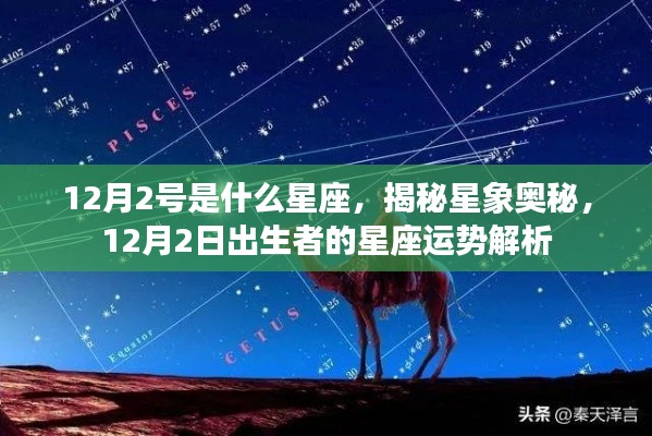 揭秘星象奥秘,12月2日出生者的星座运势解析及星座特点探索