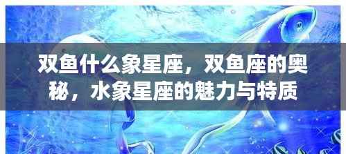 揭秘双鱼座,水象星座的魅力与独特奥秘