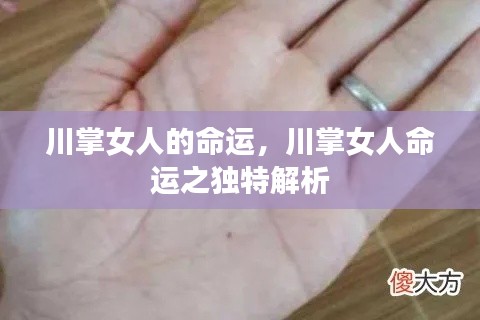 川掌女人的命运解析,独特视角下的女性命运探讨