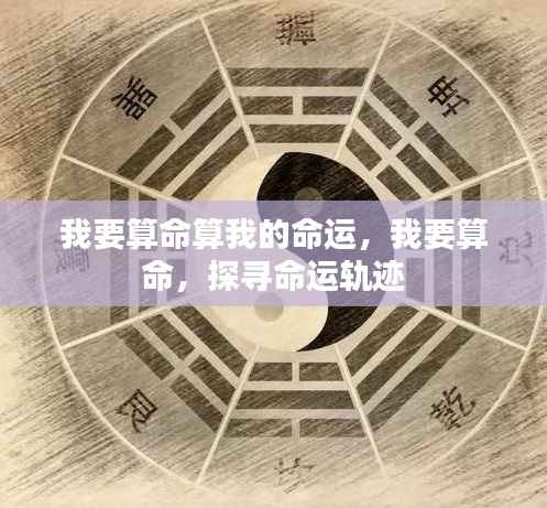 探寻命运轨迹,揭开你的命运之谜