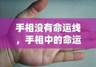 手相无命运线,人生仍由自我主宰