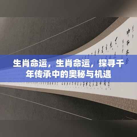 生肖命运奥秘探寻,千年传承中的机遇与挑战