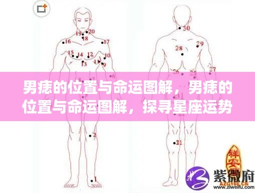 男痣位置与命运图解,探寻星座运势中的秘密线索
