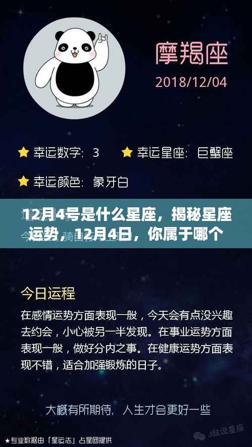 揭秘12月4日的星座运势与特点,你属于哪个星座?