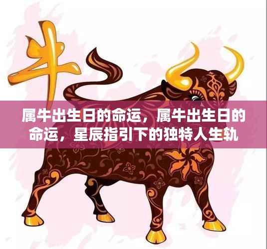 属牛出生日的命运解析,星辰指引下的独特人生轨迹探索