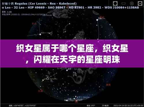 织女星,天宇中的星座明珠,属于哪个星座的璀璨星辰?