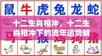 十二生肖相冲流年运势深度解析与应对策略