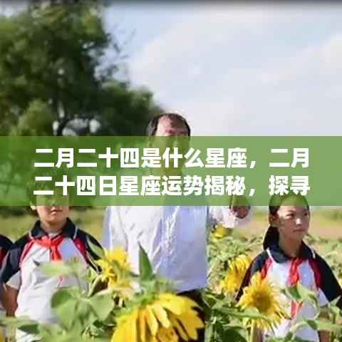 二月二十四日星座运势揭秘,探寻属于你的星辰轨迹与星座运势展望