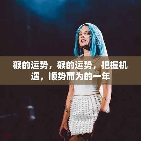 猴年运势展望,把握机遇,顺势而为