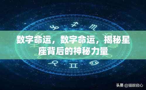 揭秘星座背后的神秘力量,数字命运探索之旅