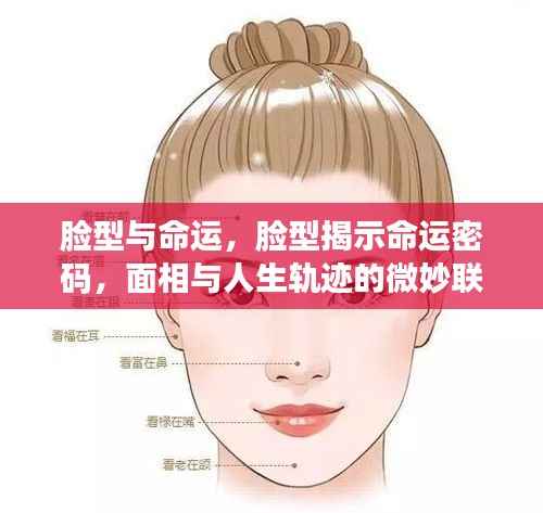 脸型与命运之谜,面相揭示人生轨迹的微妙联系