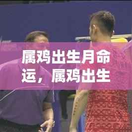 属鸡出生月份与命运解析,揭秘不同月份出生的鸡年人的性格与未来运势走向