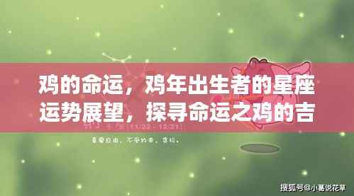 鸡的命运与星座运势展望,探寻命运之鸡的吉祥之光,展望鸡年出生者的辉煌未来。