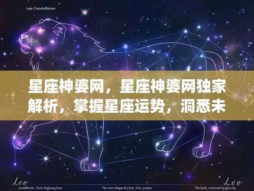 星座神婆网独家解析,掌握星座运势,洞悉未来走向的神秘力量