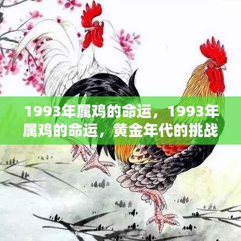 1993年属鸡命运,黄金年代的挑战与机遇解析