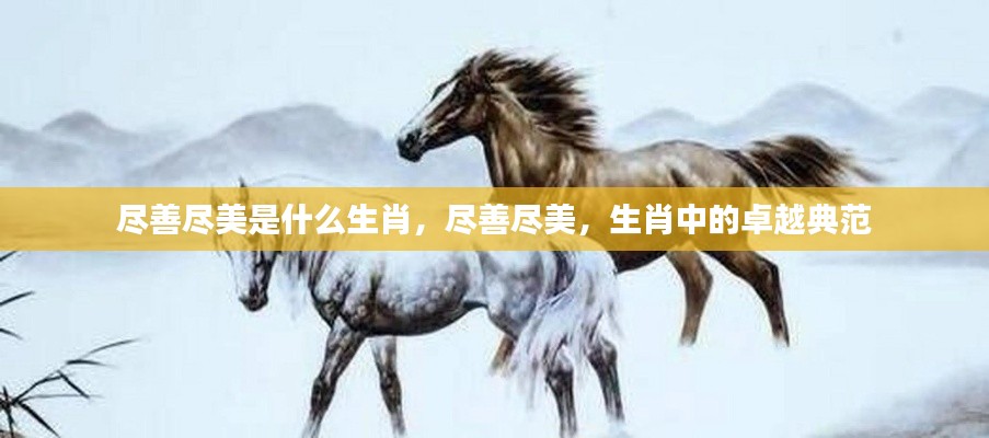 尽善尽美,生肖中的卓越典范揭秘神秘生肖身份