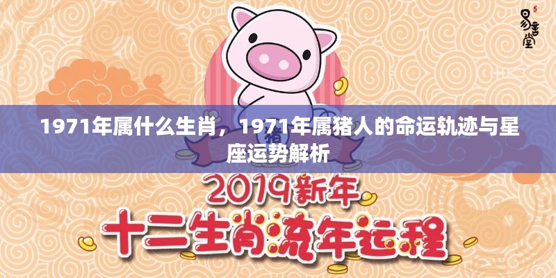 就地取材 第3页