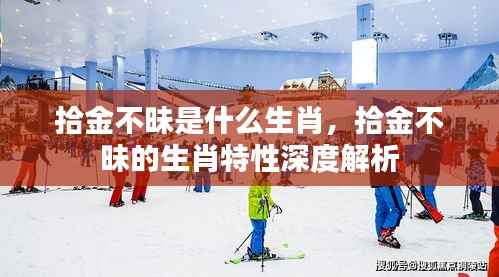 揭秘拾金不昧背后的生肖特性,深度解析生肖与品质的关联