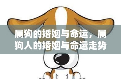属狗人的婚姻与命运走势深度解析