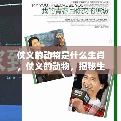 揭秘生肖中的英雄本色,仗义动物的神秘面纱