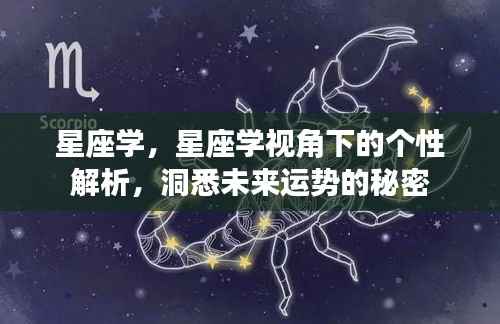 星座学视角下的个性解析与未来运势探索