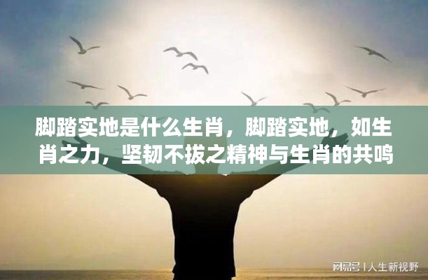 脚踏实地精神与生肖共鸣,坚韧不拔的生肖力量