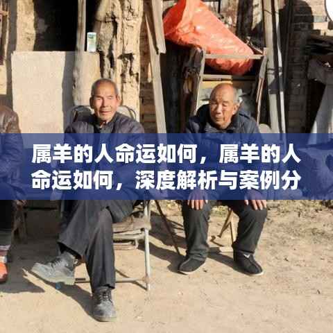 文质彬彬 第3页