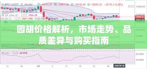 园胡价格解析，市场走势、品质差异与购买指南