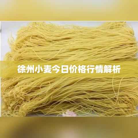 徐州小麦今日价格行情解析