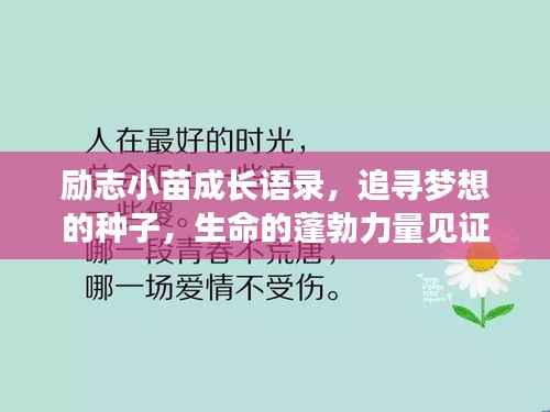 励志小苗成长语录,追寻梦想的种子,生命的蓬勃力量见证奇迹时刻