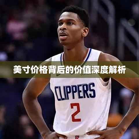 美寸价格背后的价值深度解析