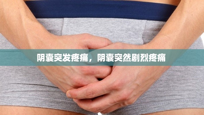 阴囊突发疼痛,阴囊突然剧烈疼痛