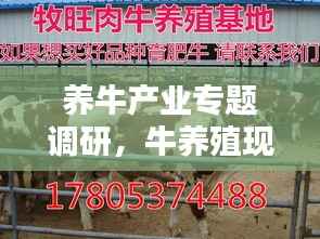 养牛产业专题调研，牛养殖现状调研 