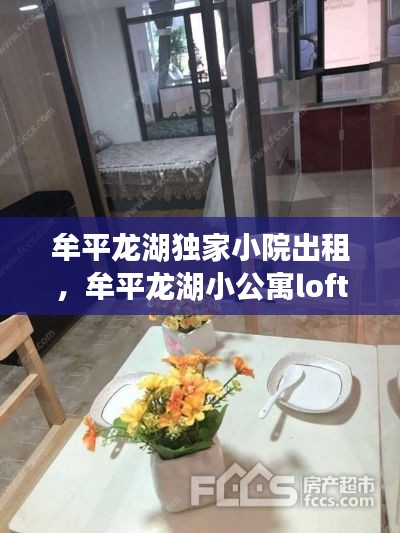 牟平龙湖独家小院出租,牟平龙湖小公寓loft出售