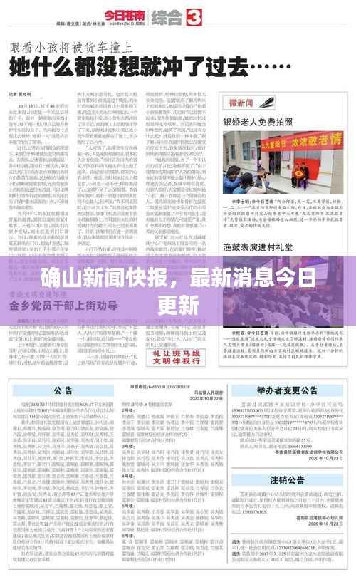 确山新闻快报,最新消息今日更新