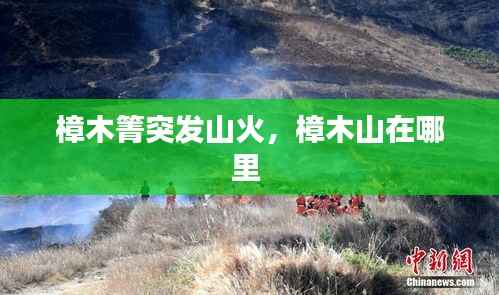 樟木箐突发山火,樟木山在哪里