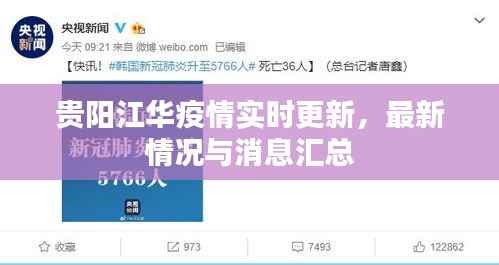 贵阳江华疫情实时更新,最新情况与消息汇总