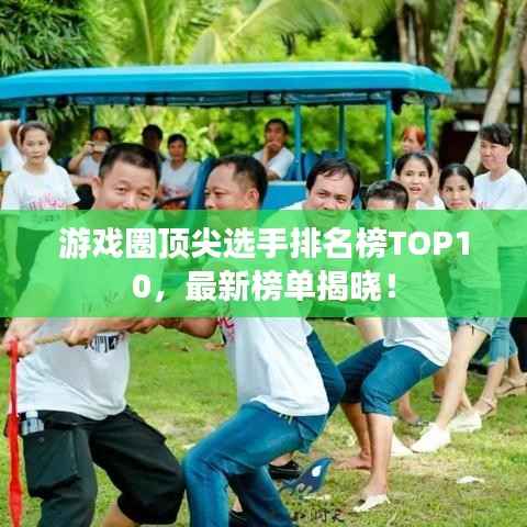 游戏圈顶尖选手排名榜TOP10,最新榜单揭晓!
