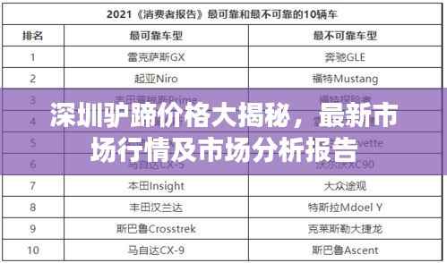 深圳驴蹄价格大揭秘,最新市场行情及市场分析报告