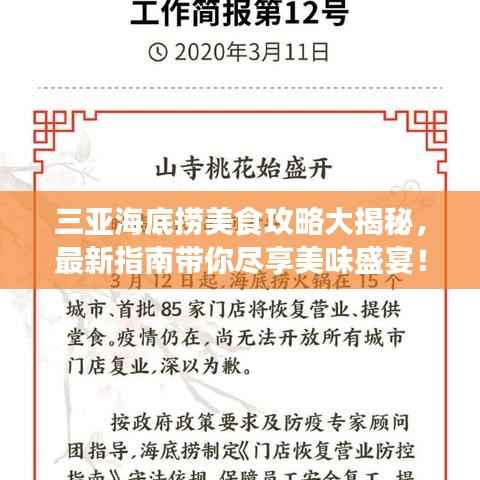 三亚海底捞美食攻略大揭秘,最新指南带你尽享美味盛宴!