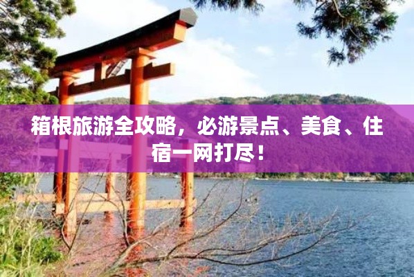 箱根旅游全攻略,必游景点、美食、住宿一网打尽!