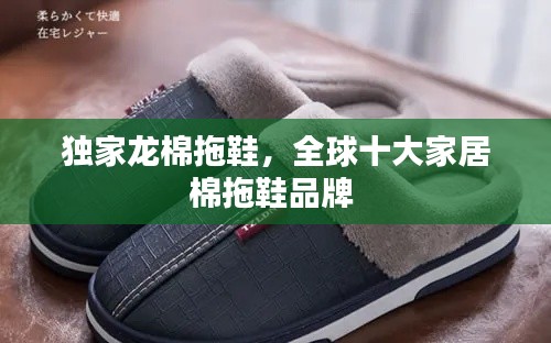 独家龙棉拖鞋,全球十大家居棉拖鞋品牌