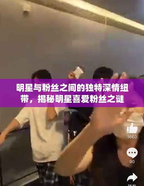 明星与粉丝之间的独特深情纽带,揭秘明星喜爱粉丝之谜