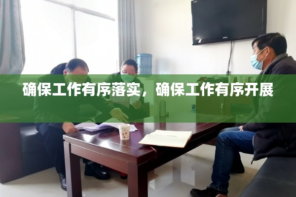 确保工作有序落实,确保工作有序开展