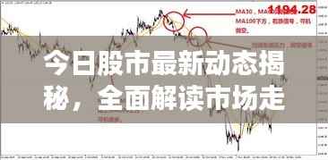 今日股市最新动态揭秘,全面解读市场走势,掌握投资先机!