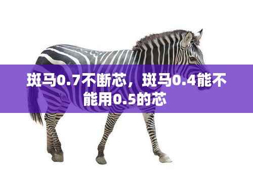 斑马0.7不断芯,斑马0.4能不能用0.5的芯