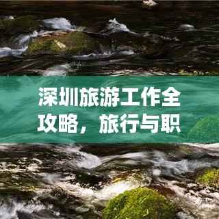 深圳旅游工作全攻略,旅行与职业的完美融合之旅