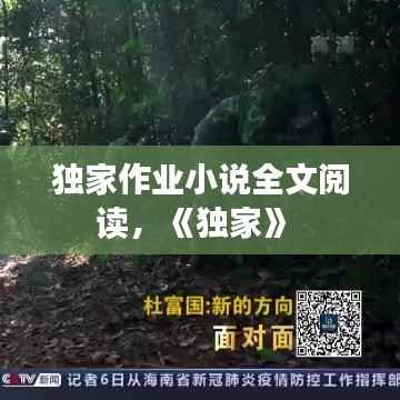 独家作业小说全文阅读,《独家》