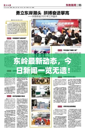 东岭最新动态,今日新闻一览无遗!